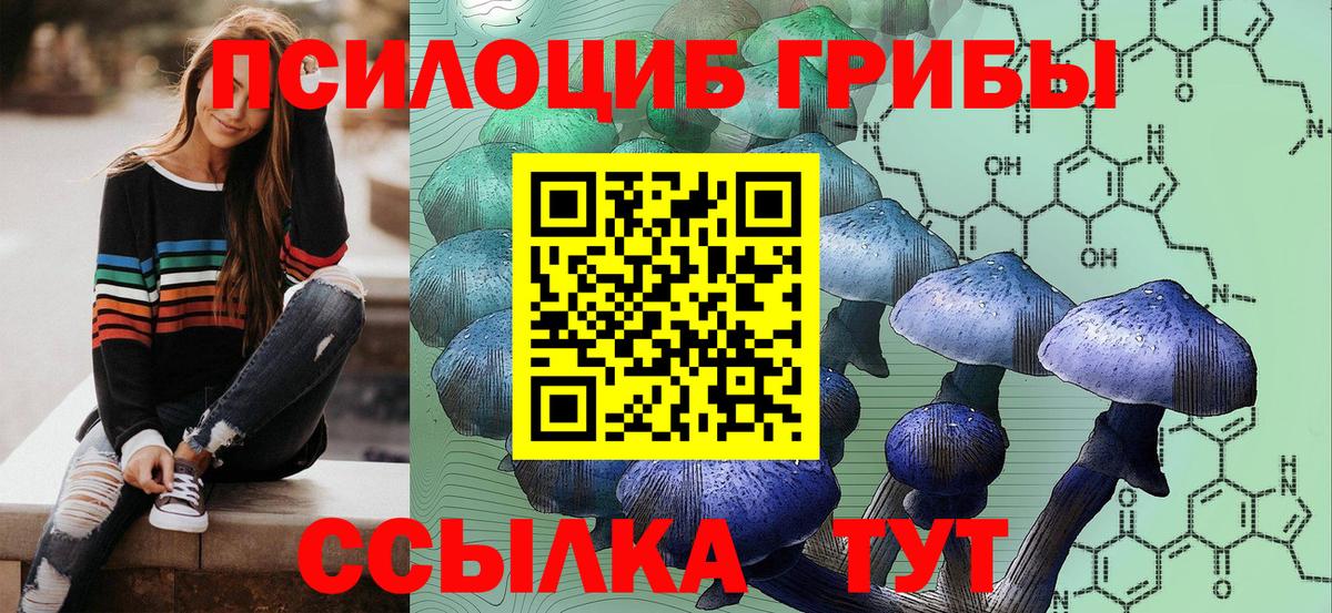 Псилоцибиновые грибы Cubensis  Вход с VPN  Глазов  Псилоцибиновые грибы GOLDEN TEACHER 